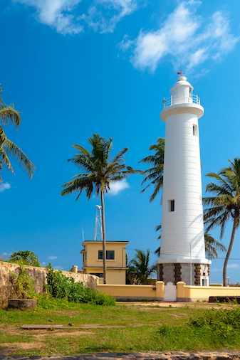 galle copy