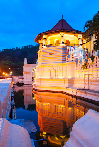kandy copy